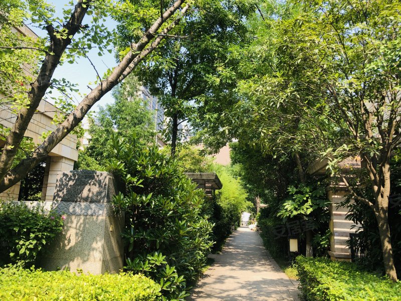 曲江凤凰池,曲江池北路,近曲江池西路-西安曲江凤凰池二手房,租房