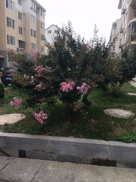 杏林山庄二期,杏林东街