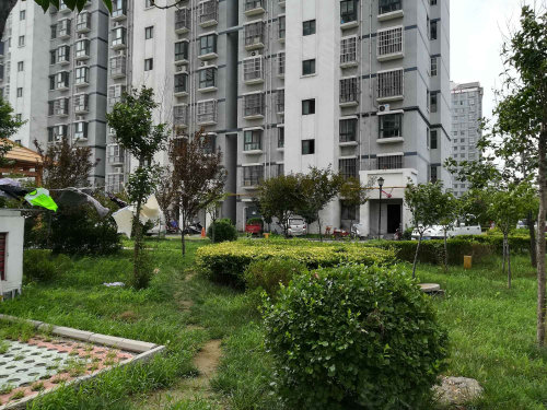 御景隆城,驼山中路 - 青州御景隆城二手房,租房,房价-青州安居客