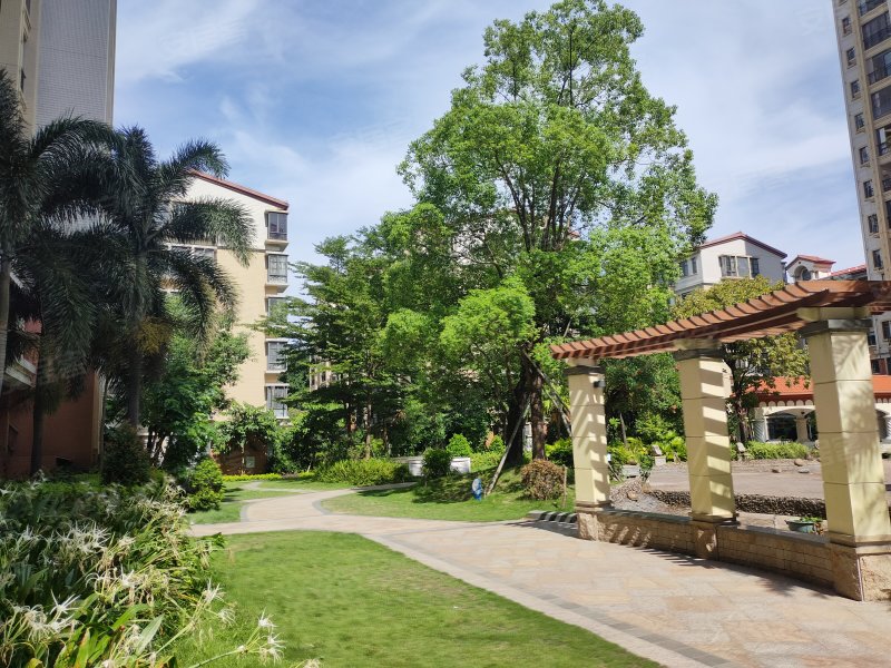 大洋红树湾一期,长贵西街-汕头大洋红树湾一期二手房,租房,房价-汕头