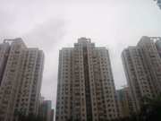 南山中心区小区图片