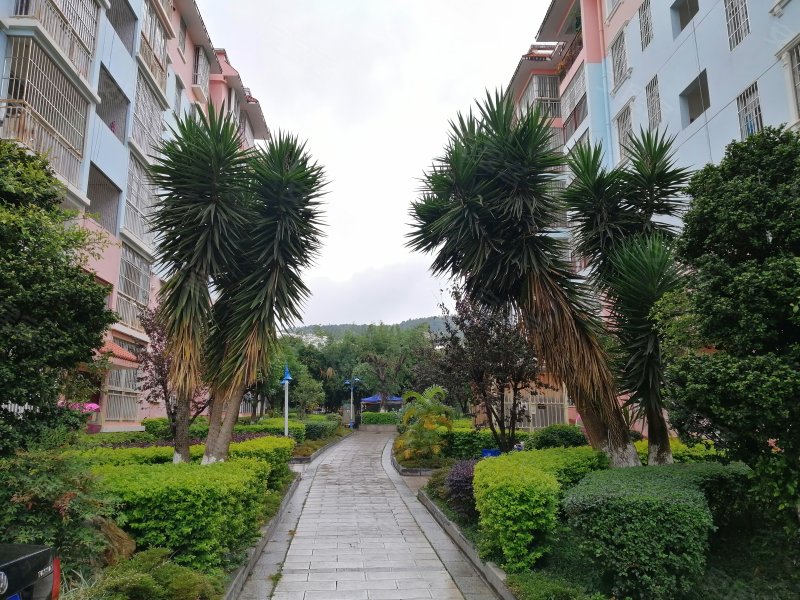 秀苑花园,秀苑巷2号-楚雄秀苑花园二手房,租房,房价-楚雄安居客