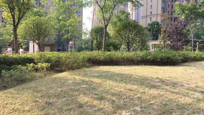 随园嘉墅,文化公园北路,近季梁大道-随州随园嘉墅二手房,租房,房价
