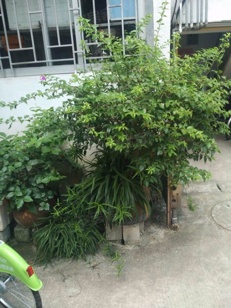 龙庭花园东区,古乐路-福州龙庭花园东区二手房,租房,房价-福州安居客