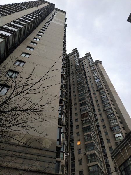 中兴财富国际公寓