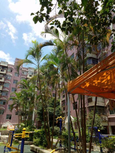 宝海花园,甲岸路96号-深圳宝海花园二手房,租房,房价-深圳安居客