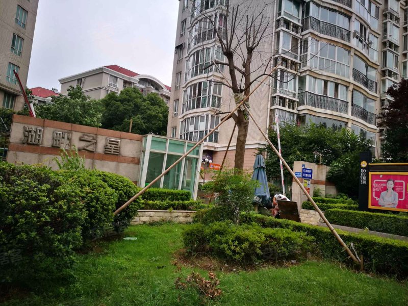 梅花山庄湖畔之星,苜蓿园大街66号-南京梅花山庄湖畔之星二手房,租房