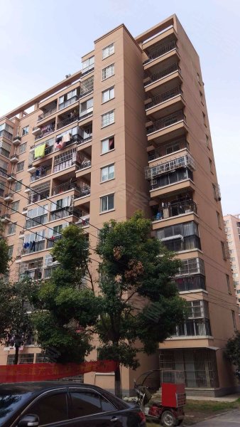 新海家园(a区),新安江路330号-合肥新海家园(a区)二手房,租房,房价