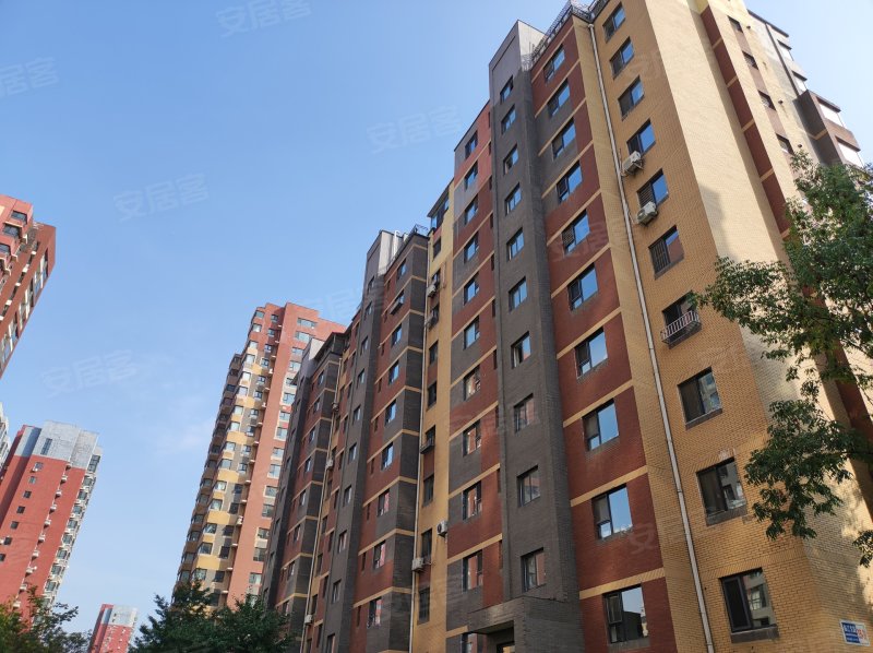 上河郡,临江东路,近天城街