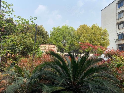 圣都国际,十里大道469号 - 九江圣都国际二手房,租房,房价-九江安居客