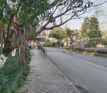 之江度假区小区图片