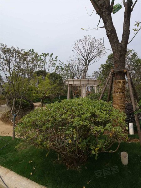 君悦花园,葛关路971号-南京君悦花园二手房,租房,房价-南京安居客