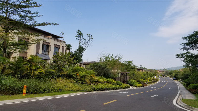 华发观山水