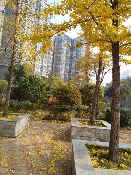 优山美地(别墅),红沟中街166号-太原优山美地(别墅)二手房,租房,房价