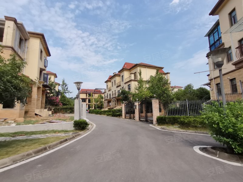 九龙领仕汇(别墅)