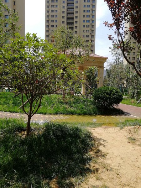 凤凰国际南区,华盛路,近凤园路-济南凤凰国际南区二手房,租房,房价