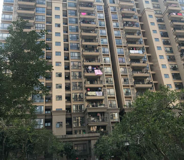 丽景名筑(一期) 小区绿化高 双卫生间 精装好房 产权清晰