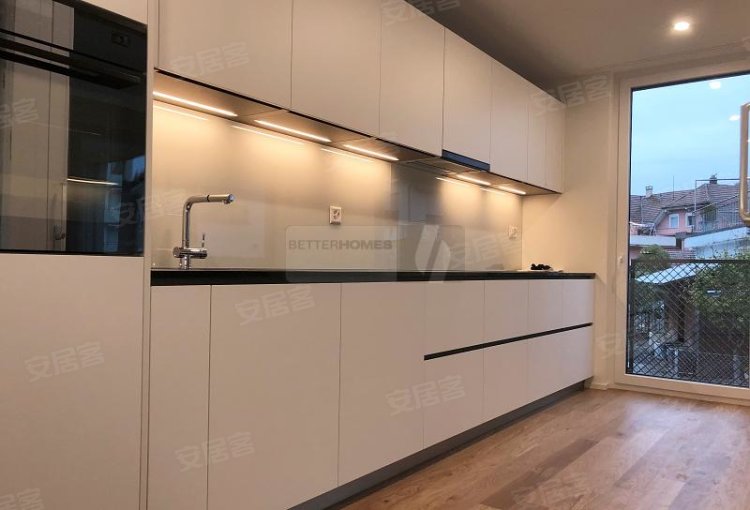 瑞士约¥538万霍奇韦蒂格 · 纽博 · 鲁希格 · 拉格二手房公寓图片