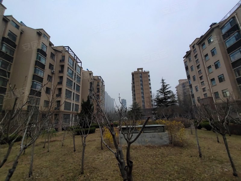 国大东方天韵,北海路999号-潍坊国大东方天韵二手房,租房,房价-潍坊