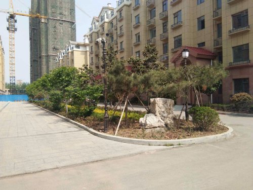 御林华府,昌安大道,近杏坛西街 - 高密御林华府二手房,租房,房价-高密