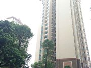 钜隆东逸湾花园 板楼 南北通透 商圈成熟 正规商品房