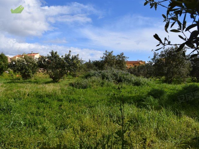 葡萄牙法鲁区阿尔布费拉约¥689万Plot of land for sale, Patã, in Albufeira, Portuga二手房土地图片