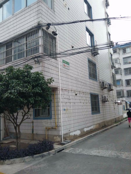 桃园公寓(浦东) 