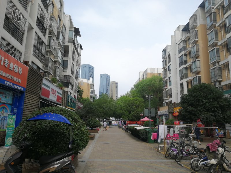 奧體小學(xué)合肥什么水準(zhǔn)_合肥奧體小學(xué)是名校嗎_合肥奧體小學(xué)排名