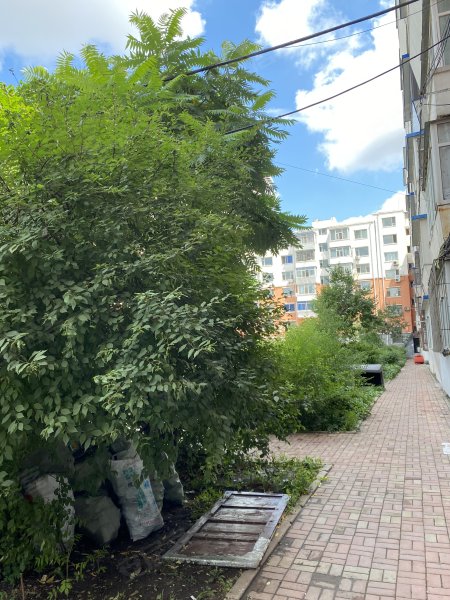 隆礼路34号小区