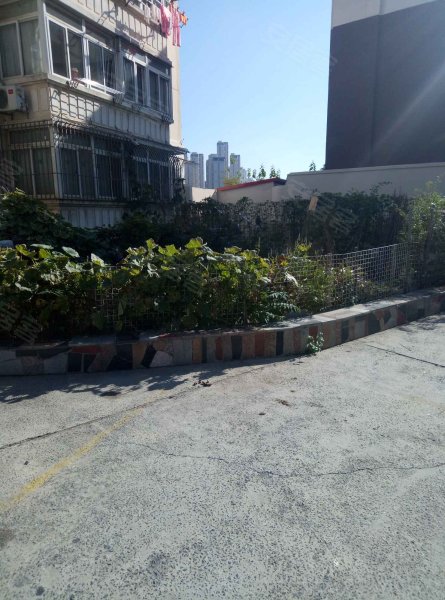 长春街小区(西岗)