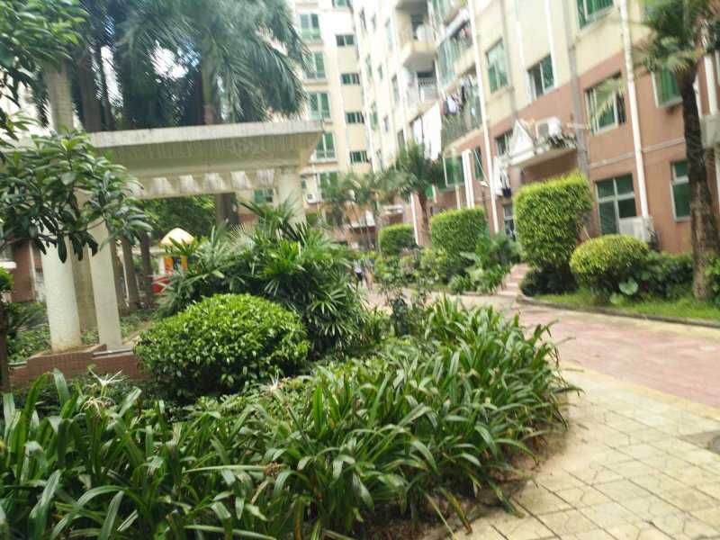 东都花园(2区),龙翔大道2号-深圳东都花园(2区)二手房,租房,房价-深圳