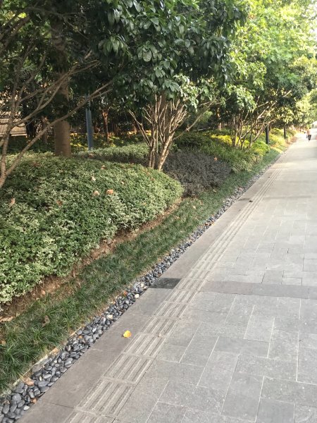 上海星河湾(一期) 