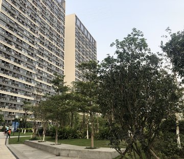 江南大道南800-999号小区