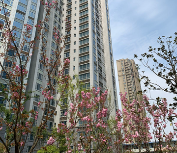 高尚领域(公寓住宅)