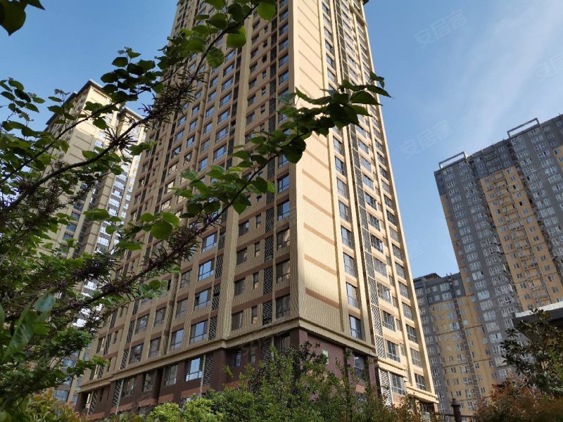 阳光台365,桃园北路,近梨园路-西安阳光台365二手房,租房,房价-西安