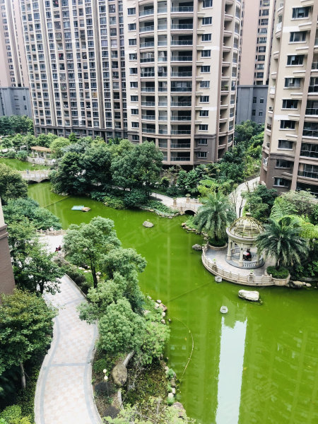 合信星湖城