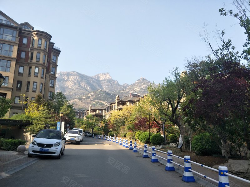 国山墅(别墅),东岳大街