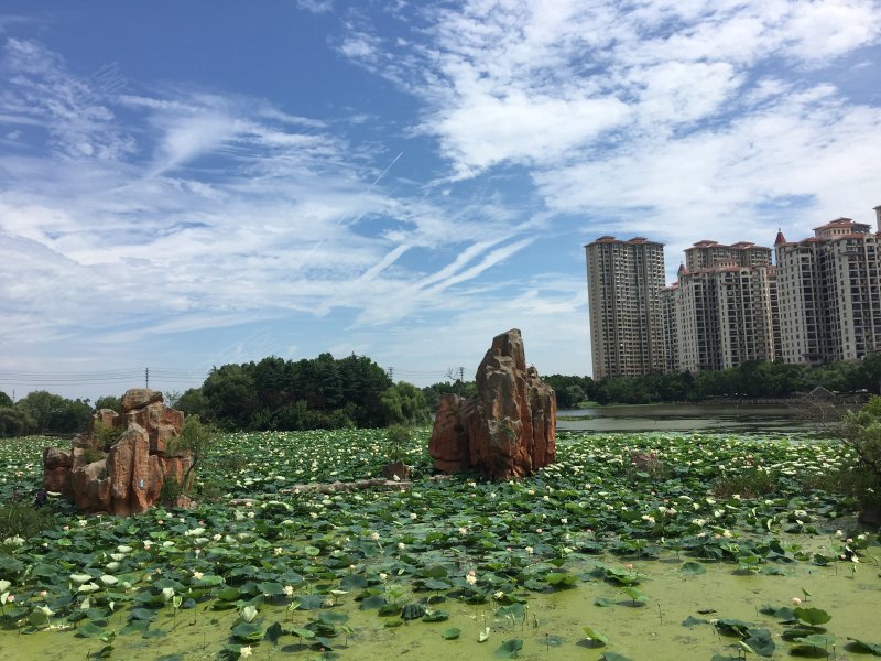 新加坡花园城,长江西路898号-合肥新加坡花园城二手房,租房,房价-合肥