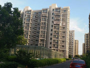 地铁新宫南 次新小区 阳光星苑南区  南向两居,安静宜居