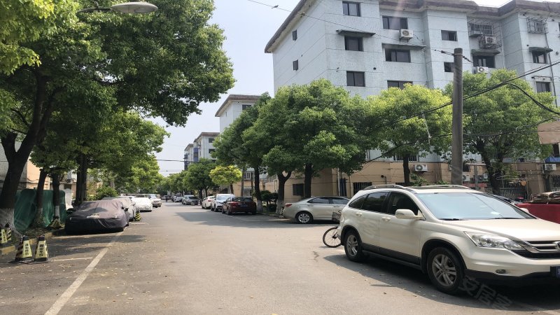 泰和新城(3493弄)