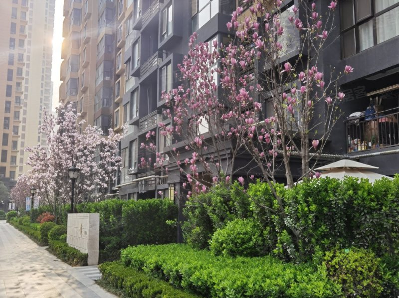 中国铁建万科翡翠国际,曲江大道999号-西安中国铁建万科翡翠国际二手