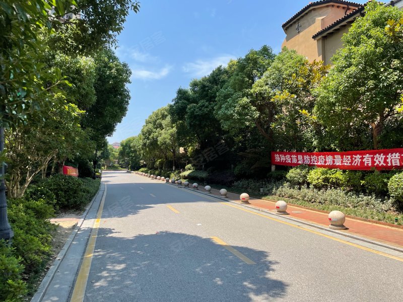 中信森林湖棕榈园