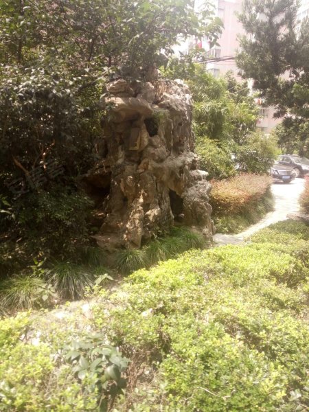 银欣花苑(虹口)