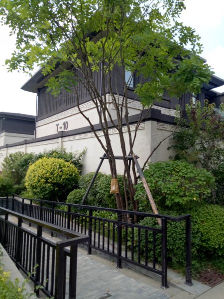 万科如园(别墅)