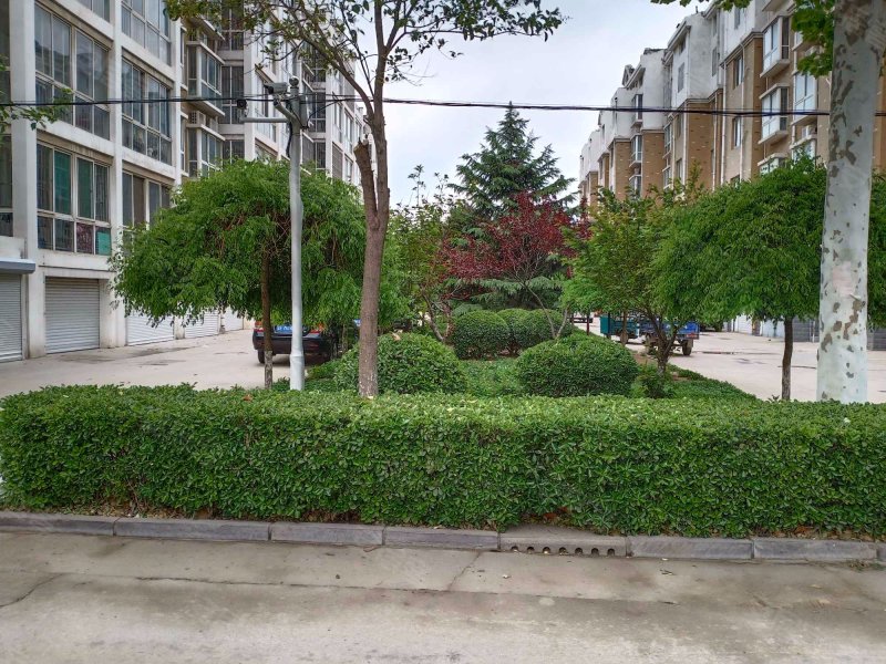 盛世华府(东阿)