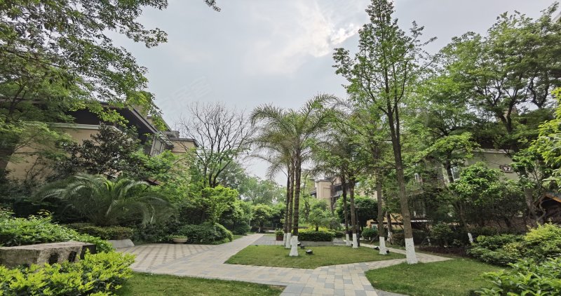 华侨城东岸西区,金丰路283号-成都华侨城东岸西区二手房,租房,房价