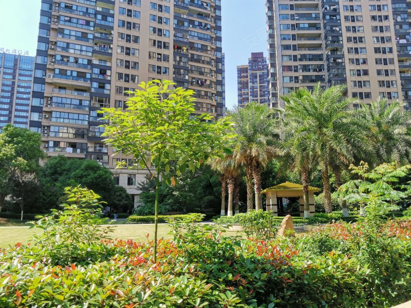 鹏欣水游城,五指峰路-赣州鹏欣水游城二手房,租房,房价-赣州安居客