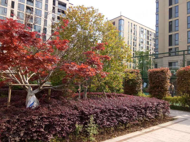 香溪裕园,香溪路,近四季路-义乌香溪裕园二手房,租房,房价-义乌安居客