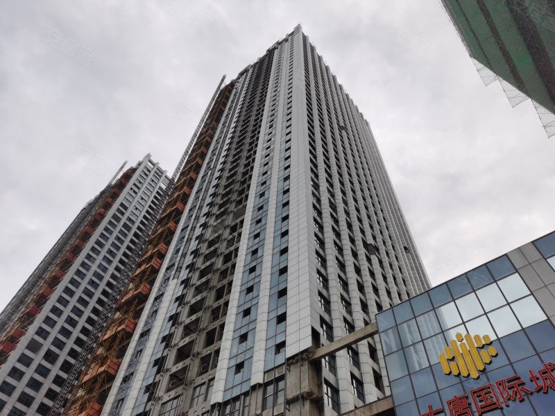 大唐国际城,芍花路,近汤王大道