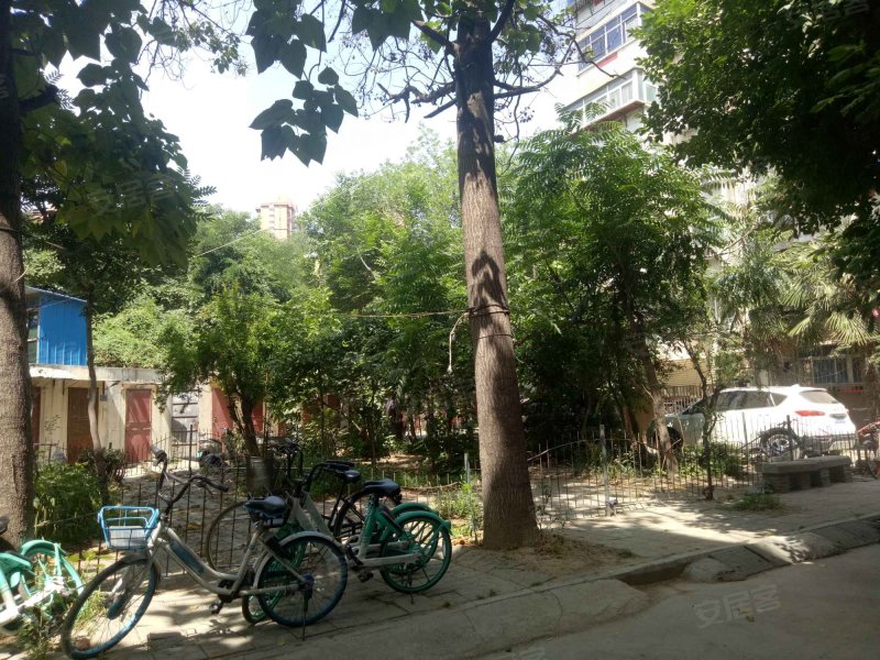 苗圃小区75号院,苗圃街2号-郑州苗圃小区75号院二手房,租房,房价-郑州